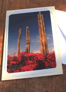 フリーダカーロのポストカード