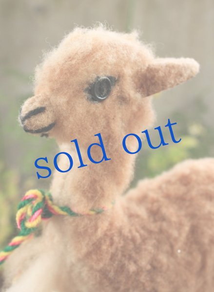 画像3: ボリビアから来たビクーニャ親子 (3)