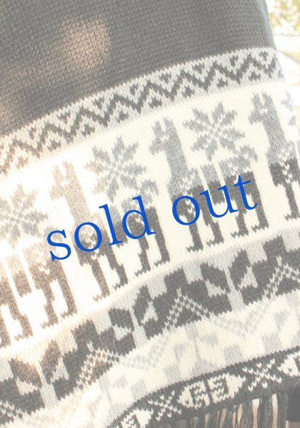 画像4: アルパカのポンチョ (4)