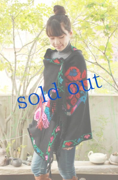 画像2: プエブラ州のショール (2)