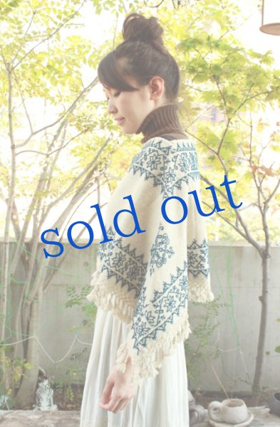 画像3: プエブラ州のポンチョ (3)