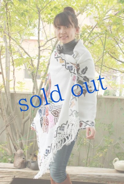 画像2: プエブラ州の手織りレボソ (2)