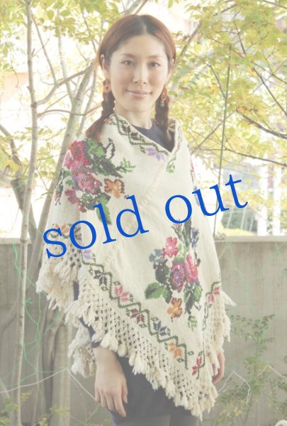 画像2: プエブラ州のポンチョ (2)