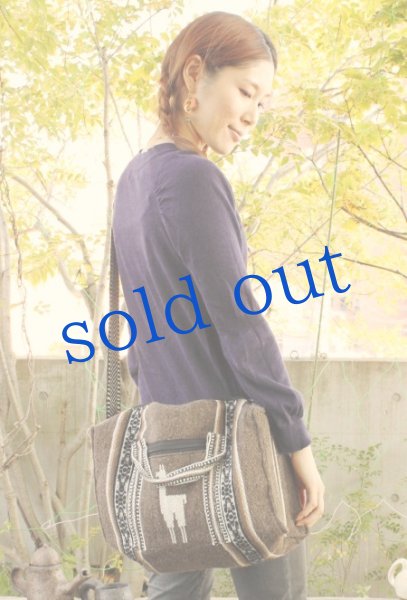 画像3: ペルーのリャマ柄2wayバッグ (3)