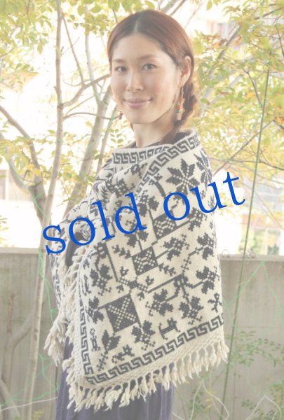 画像2: プエブラ州のポンチョ (2)