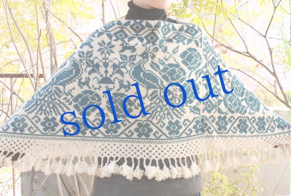 画像5: プエブラ州のポンチョ (5)