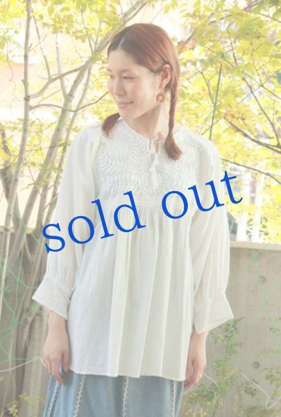 画像4: メキシコ刺繍ブラウス「チアパス」 (4)