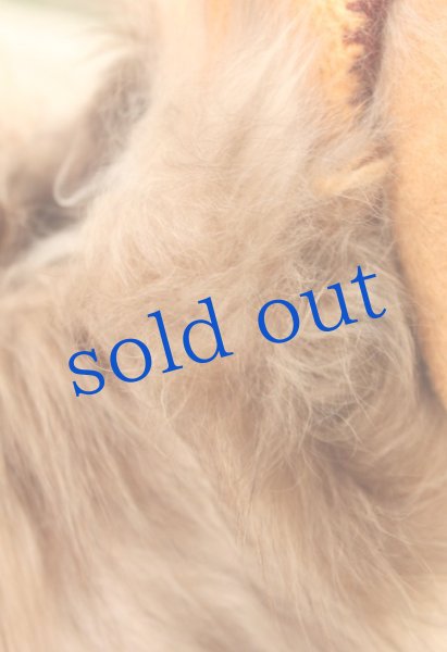 画像4: チューヨニット帽アルパカ (4)