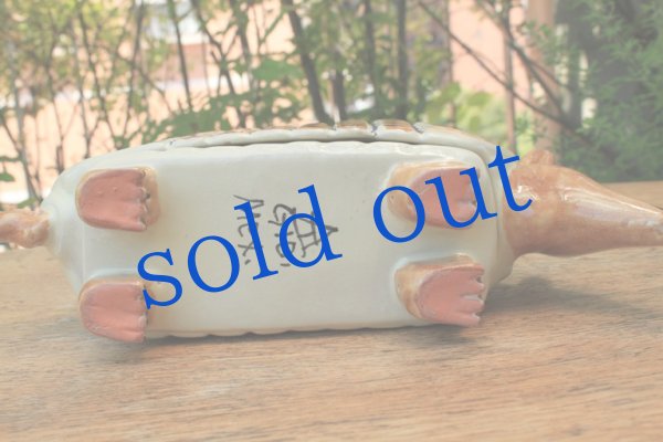 画像5: ゴルキーゴンザレスのアルマジロ34cm (5)