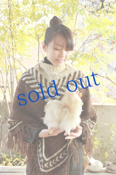 画像5: アルパカ人形23cmサイズ (5)