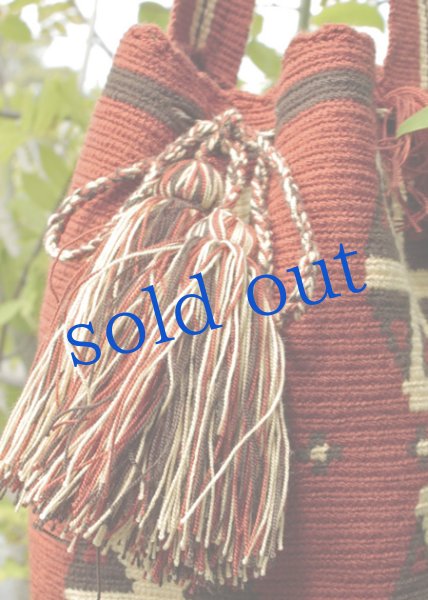 画像3: コロンビアの先住民WAYUU族の手編みバッグ (3)