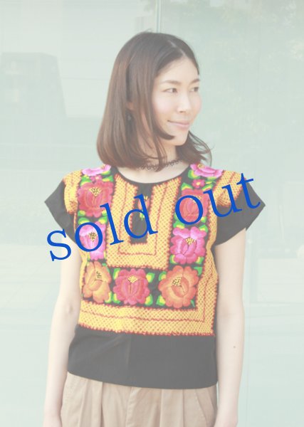 画像2: テワナの刺繍ウィピルトップス (2)