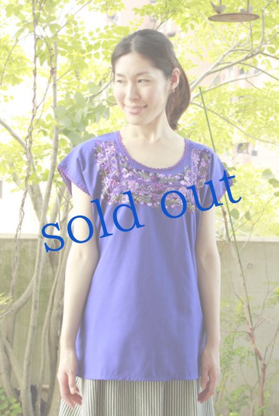 画像2: サンアントニーノ刺繍ウィピルトップス (2)