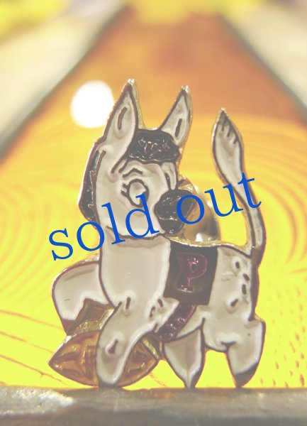 画像3: メキシコのピン (3)