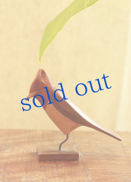 画像3: アルゼンチンの香木アルテサニア (3)