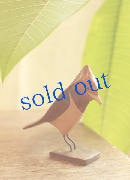 画像2: アルゼンチンの香木アルテサニア (2)