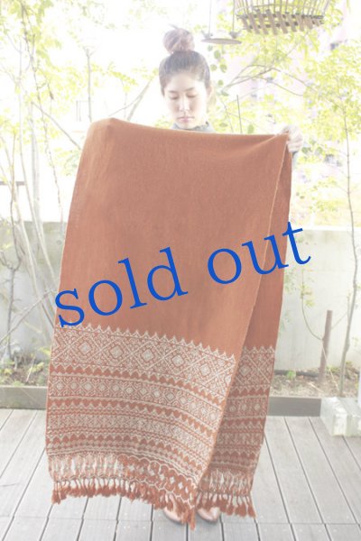 画像5: プエブラ州の刺繍ショール (5)