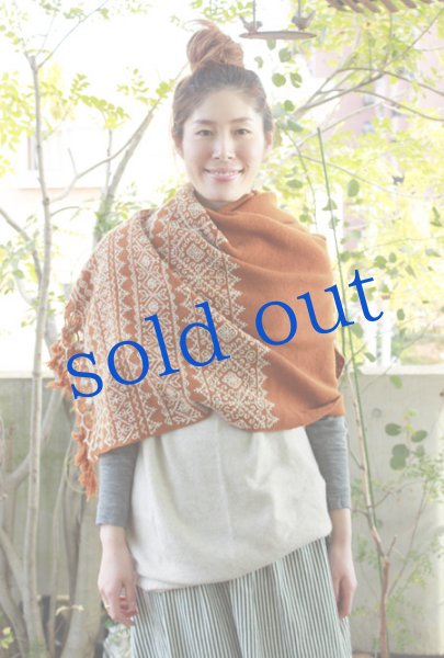 画像2: プエブラ州の刺繍ショール (2)