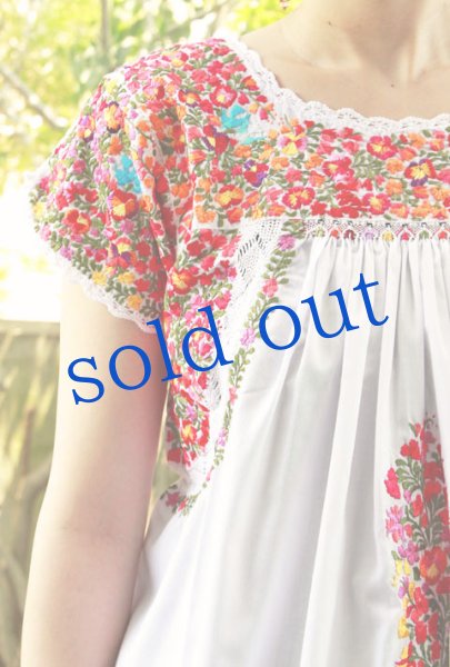画像2: 最高級サンアントニーノ 刺繍チュニックブラウス　 (2)