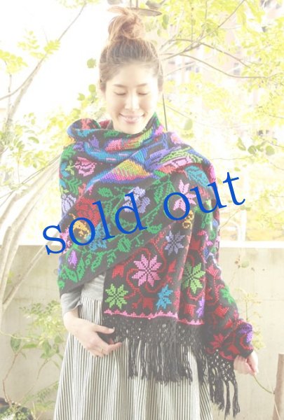 画像2: プエブラ州の大判ショール (2)