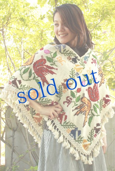 画像1: プエブラ州のポンチョ (1)