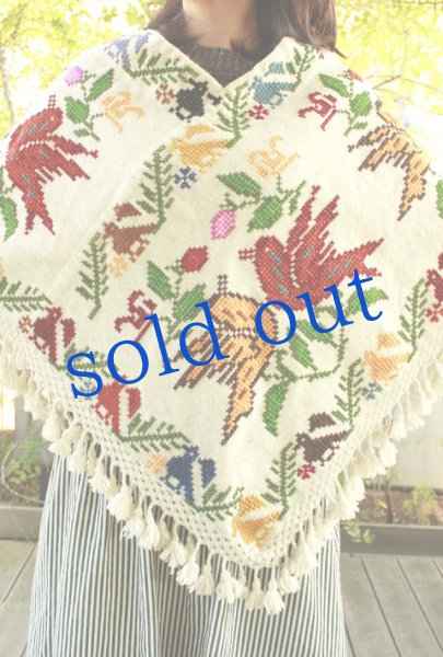 画像2: プエブラ州のポンチョ (2)