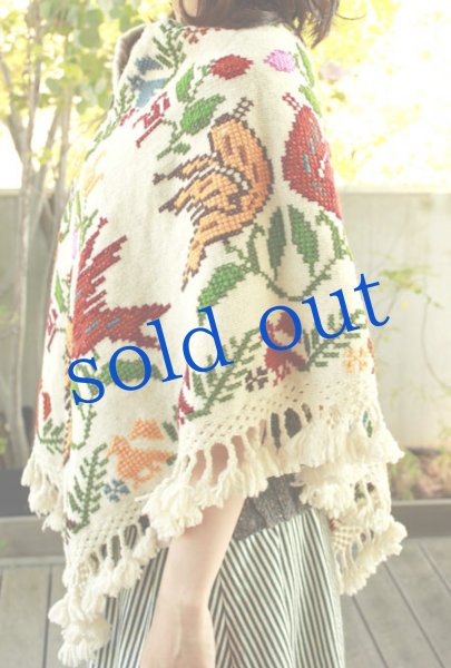 画像3: プエブラ州のポンチョ (3)