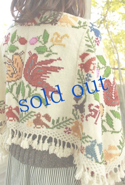 画像4: プエブラ州のポンチョ (4)