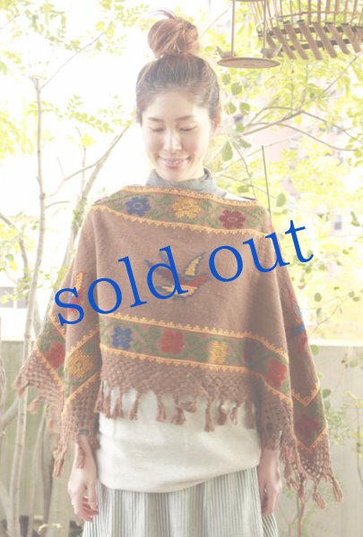 画像2: プエブラ州のポンチョ (2)