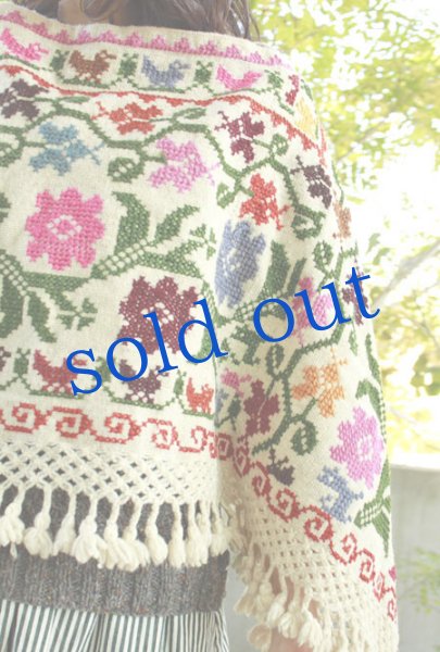 画像4: プエブラ州のポンチョ (4)