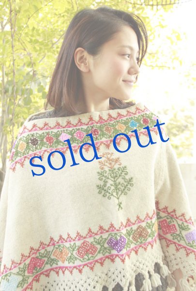 画像4: プエブラ州のポンチョ (4)