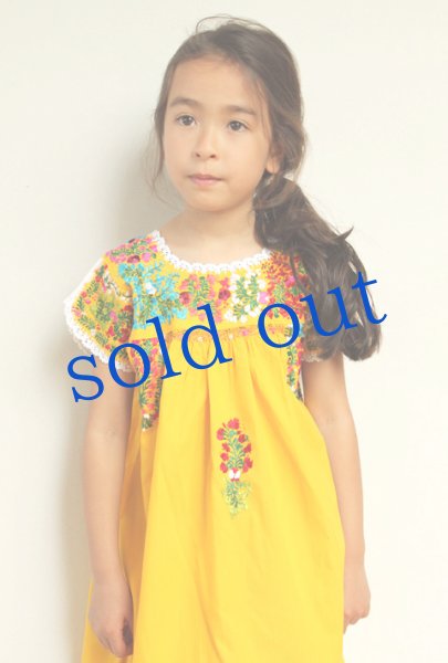 画像2: サンアントニーノ刺繍 ドレス (2)