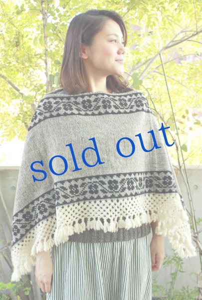 画像2: プエブラ州のポンチョ (2)