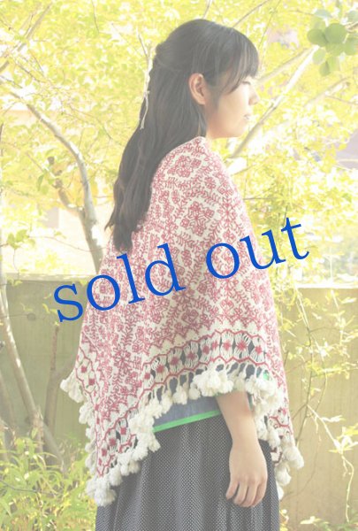 画像3: プエブラ州のポンチョ (3)