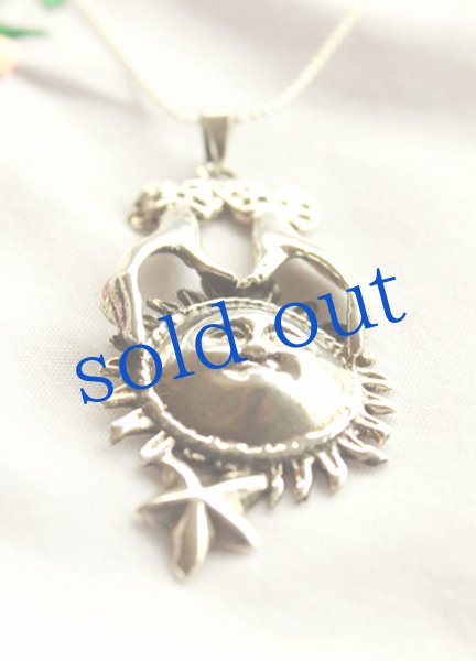 画像4: メキシコシルバーのペンダントトップ (4)