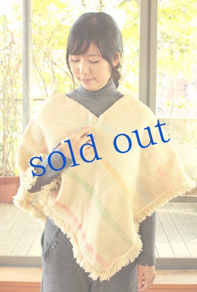 画像1: プエブラ州のポンチョ (1)