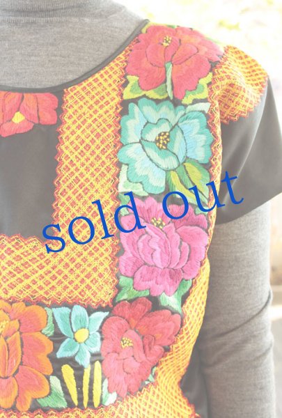 画像1: フチタン・テワナの刺繍ウィピルトップス (1)