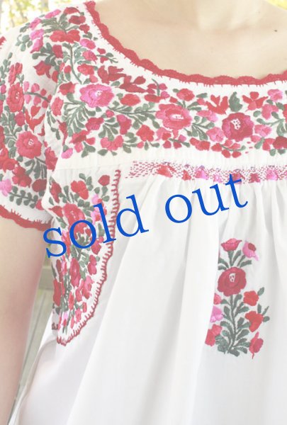 画像1: 「サンアントニーノ」 刺繍ブラウス (1)