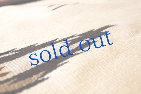 画像4: メキシコサラペ  (4)