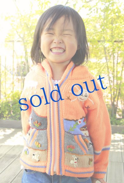 画像2: ペルー刺繍パーカー (2)