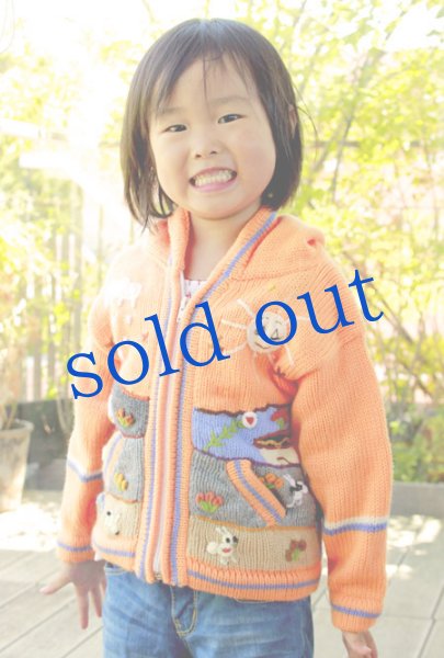 画像3: ペルー刺繍パーカー (3)