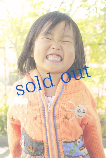 画像4: ペルー刺繍パーカー (4)