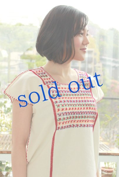 画像2: ミステコ族の刺繍トップス (2)