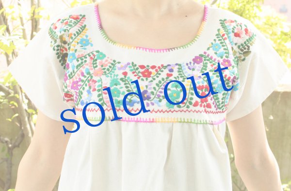 画像5: プエブラ州の刺繍ワンピース　 (5)