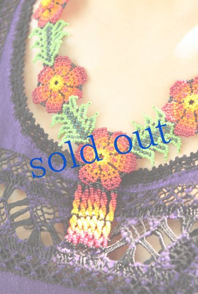 ウイチョール族チャキーラ