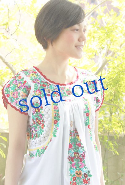画像3: 「サンアントニーノ」 刺繍ブラウス (3)
