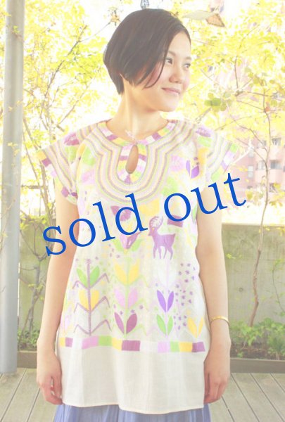 画像1: メキシコ刺繍ブラウス「チアパス」　 (1)