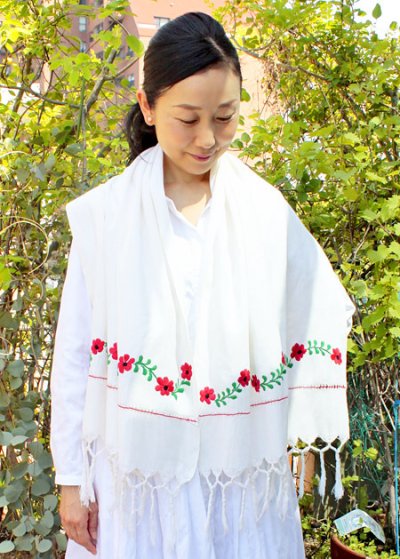 画像1: オアハカ州の刺繍ショール