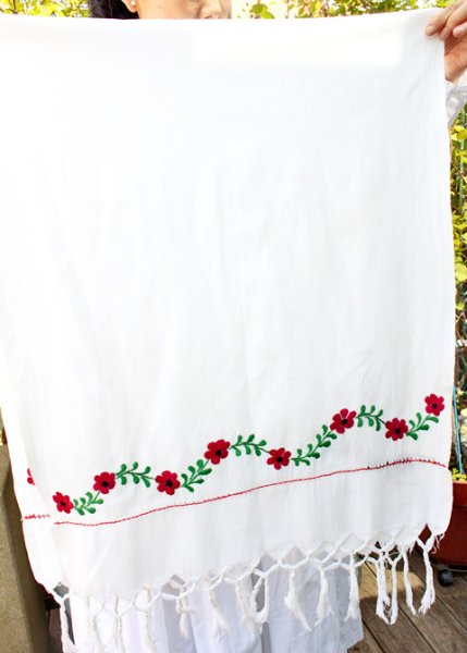 画像1: オアハカ州の刺繍ショール (1)