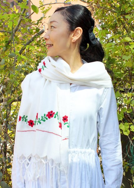 画像3: オアハカ州の刺繍ショール (3)